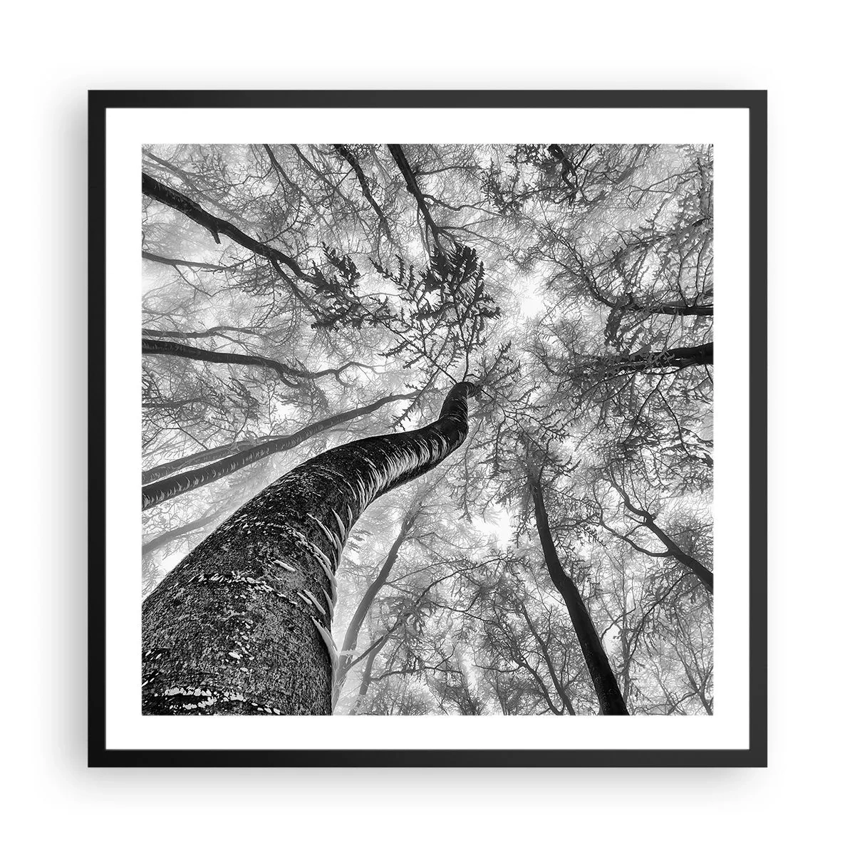 Plakat w czarnej ramie - Wyścig do światła - 60x60 cm