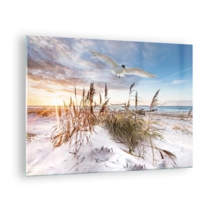 Obraz na szkle - Ptak lecący nad wydmami o zachodzie słońca - 70x50cm - Wiatr od morza - Nowoczesna dekoracja ścienna do salonu i sypialni ARTTOR