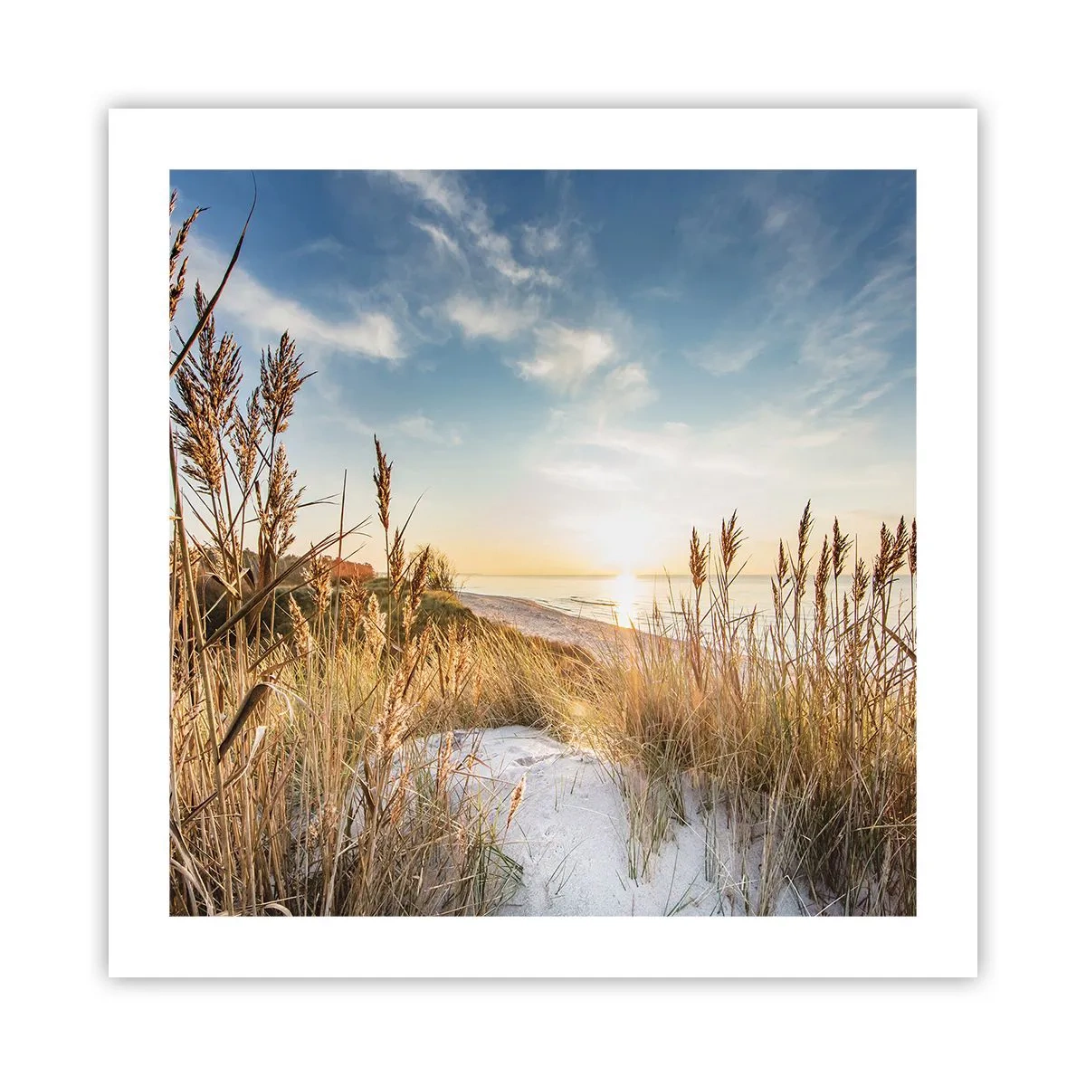 Plakat - Północna plaża - 50x50 cm