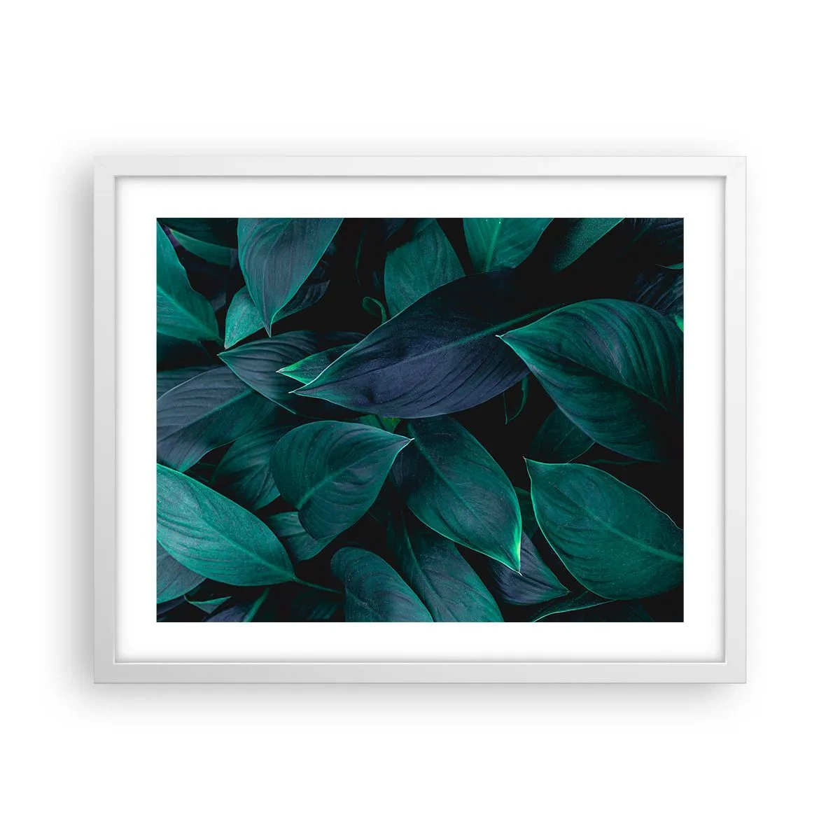 Plakat w białej ramie - Zieleń sama w sobie - 50x40 cm