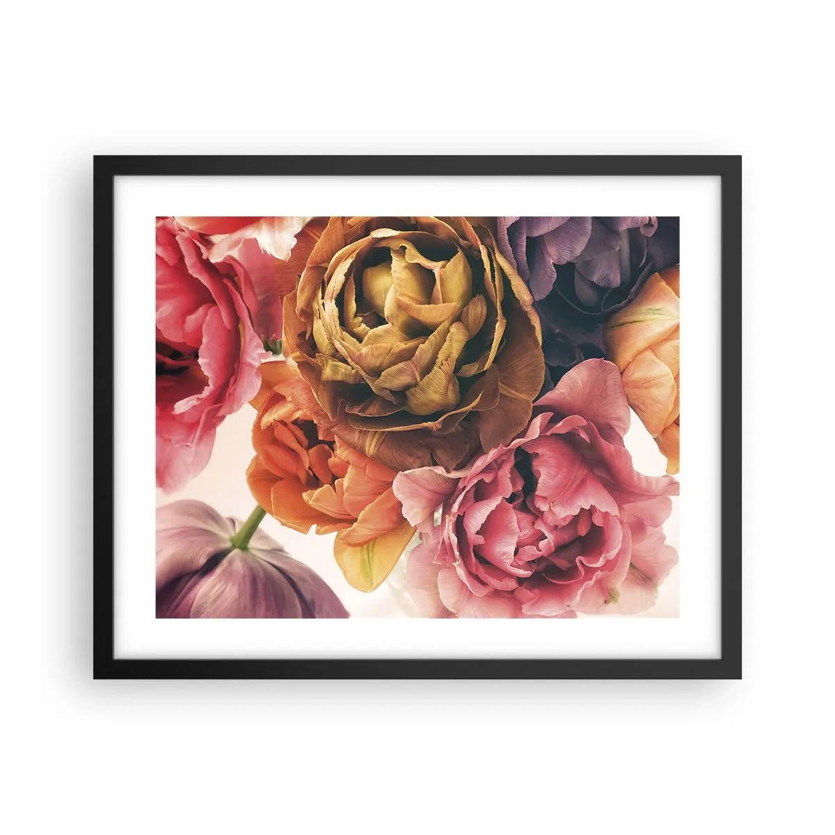 Plakat w czarnej ramie - Święto życia - 50x40 cm