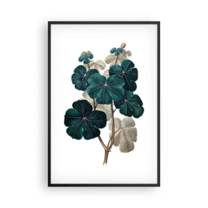 Plakat w czarnej ramie - Ze starego zielnika - 61x91 cm