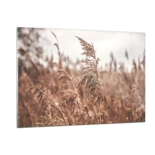 Obraz na szkle - Suszone trawy na wietrze w jesiennym świetle natury - 120x80cm - Na polach już jesień - Nowoczesna dekoracja ścienna do salonu, kuchni i sypialni ARTTOR