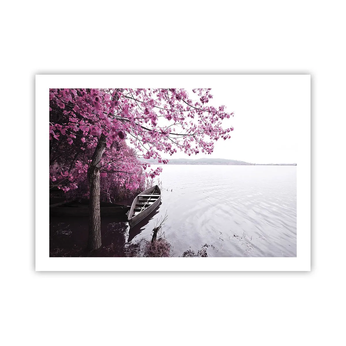 Plakat - W różowej ciszy - 70x50 cm