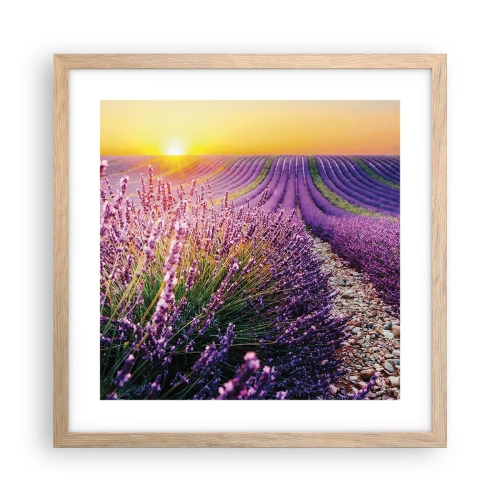 Plakat w ramie jasny dąb - Pachnący łan - 40x40 cm