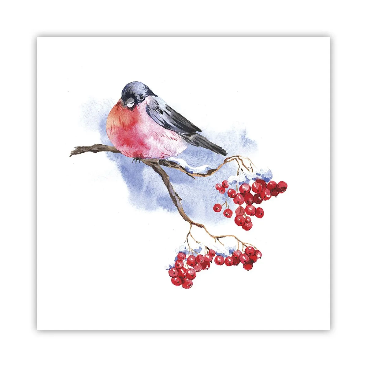 Plakat - Zima w kolorze - 50x50 cm