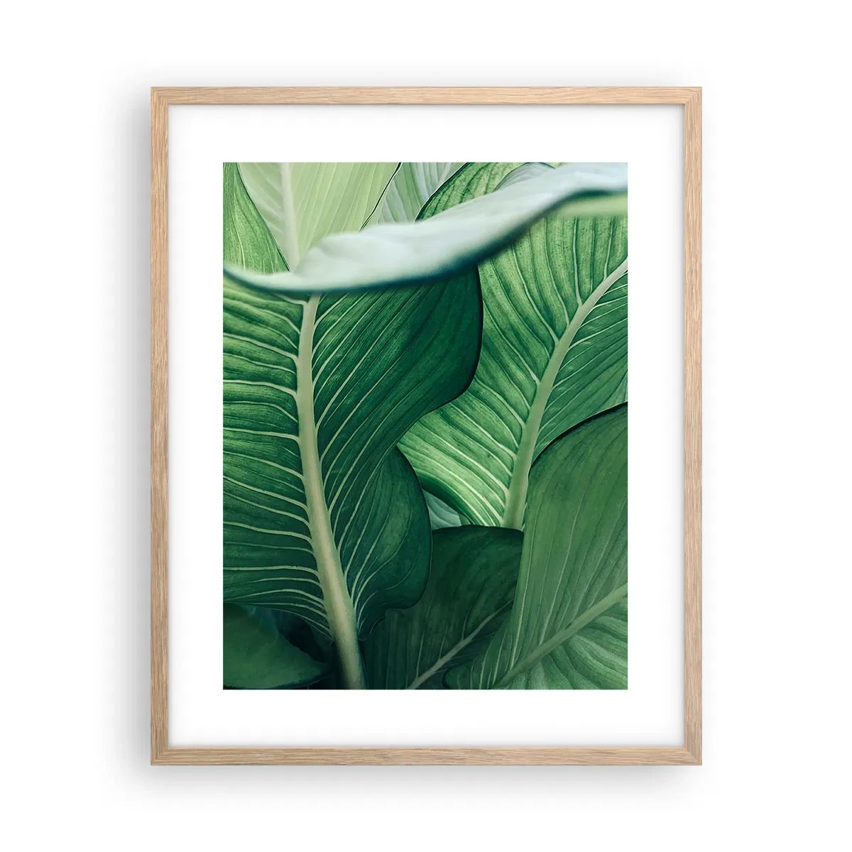 Plakat w ramie jasny dąb - Życie intensywnie zielone - 40x50 cm