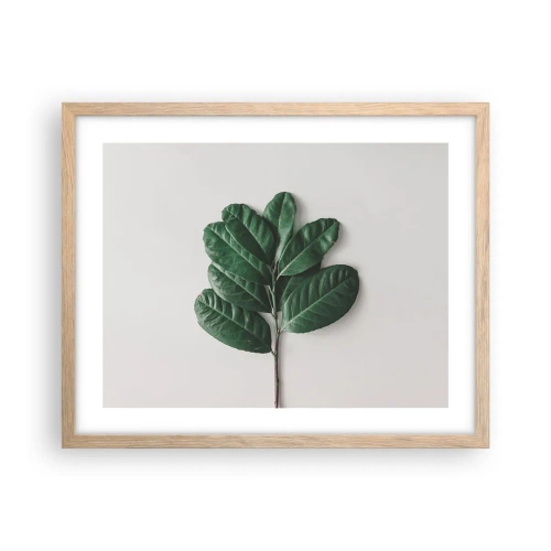 Plakat w ramie jasny dąb - Rysunek samej natury - 50x40 cm