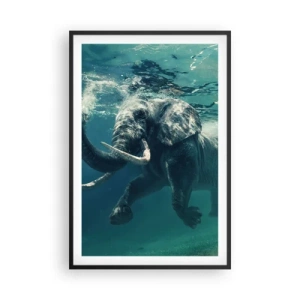 Plakat w czarnej ramie - Wszyscy lubią pływać - 61x91 cm