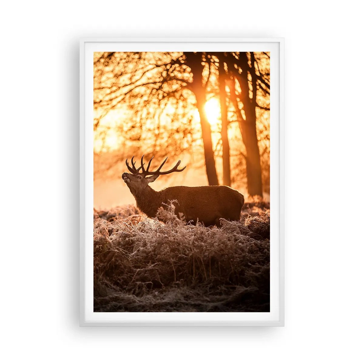 Plakat w białej ramie - Marzenie myśliwego - 70x100 cm