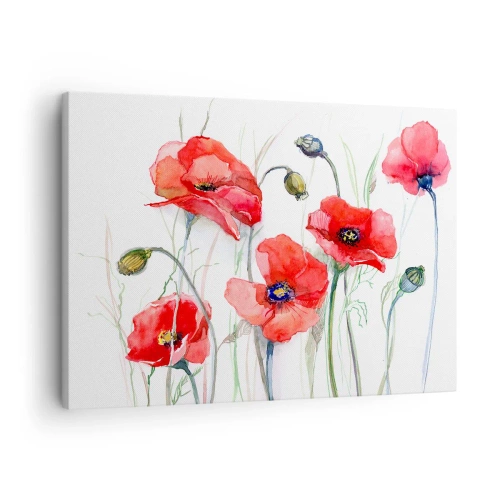 Obraz na płótnie - Akwarelowe maki na delikatnym tle - 70x50cm - Kwiaty polskie - Nowoczesna dekoracja ścienna do salonu i sypialni ARTTOR