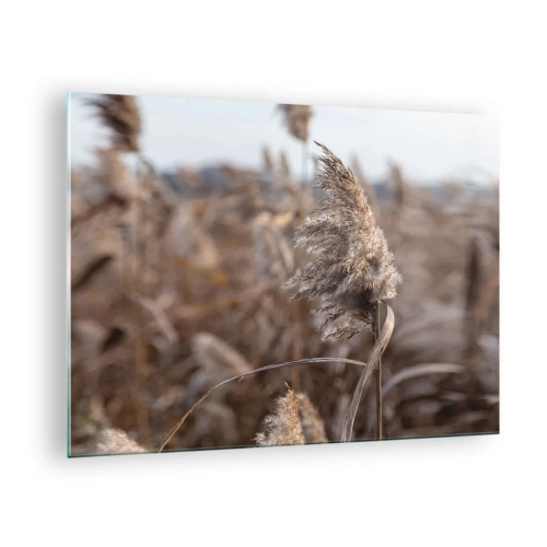 Obraz na szkle - Zbliżenie na suche trawy kołysane wiatrem - 70x50cm - Czas odlecieć z wiatrem - Nowoczesna dekoracja ścienna do salonu i sypialni ARTTOR