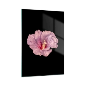 Obraz na szkle - Zbliżenie na różowy kwiat hibiskusa na tle czarnego tła - 50x70cm - Prosto do serca - Nowoczesna dekoracja ścienna do salonu, kuchni i sypialni ARTTOR