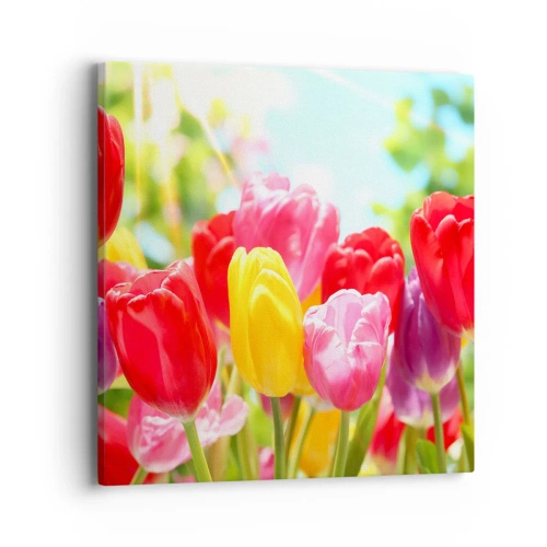 Obraz na płótnie - To my, kolory maja! - 40x40 cm