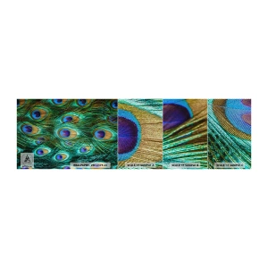 Fototapeta Próbka Premium Sand - Pawiookie spojrzenie - Abstrakcja, Pawie Pióra, Pióro Ptaka - 100x30 cm