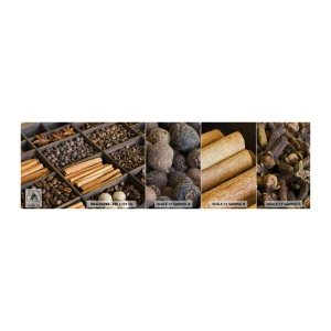 Fototapeta Próbka Premium Sand - Skarbiec aromatów - Przyprawy, Kawa, Cynamon - 100x30 cm