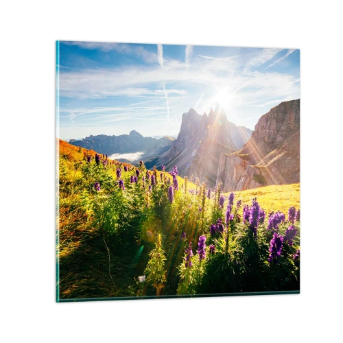 Obraz na szkle - Sekretne życie ziół - 70x70 cm