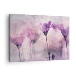 Obraz na płótnie - Delikatne kwiaty w odcieniach fioletu na jasnym tle - 70x50cm - Sen kwiatów - Nowoczesna dekoracja ścienna do salonu i sypialni ARTTOR