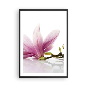 Plakat w czarnej ramie - Różowy kwiat magnolii na gałęzi z białym tłem - 50x70cm - Delikatne jak powiew wiosny - Nowoczesna dekoracja ścienna do salonu i sypialni ARTTOR