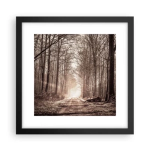 Plakat w czarnej ramie - Leśna katedra - 30x30 cm