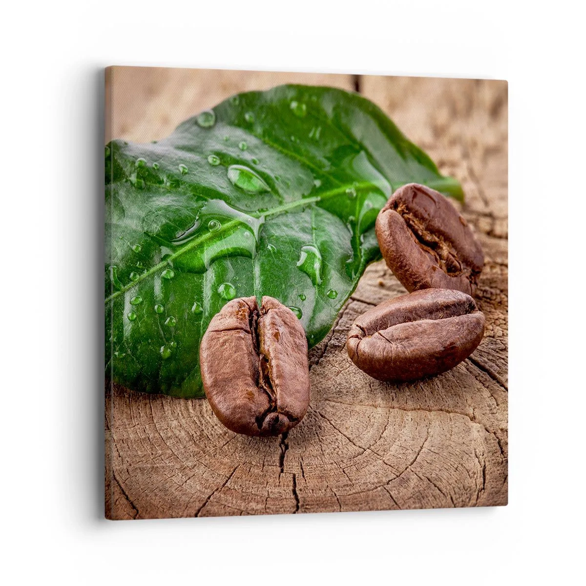 Obraz na płótnie - Najprawdziwsza i czarna - 40x40 cm