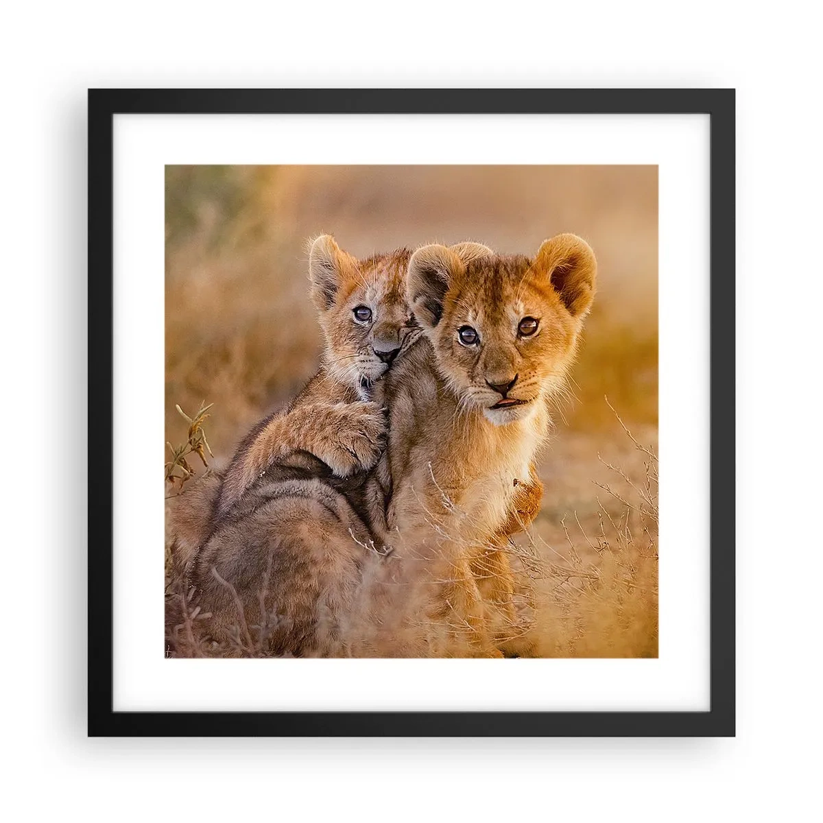 Plakat w czarnej ramie - Nie przeszkadzać! Bawimy się - 40x40 cm