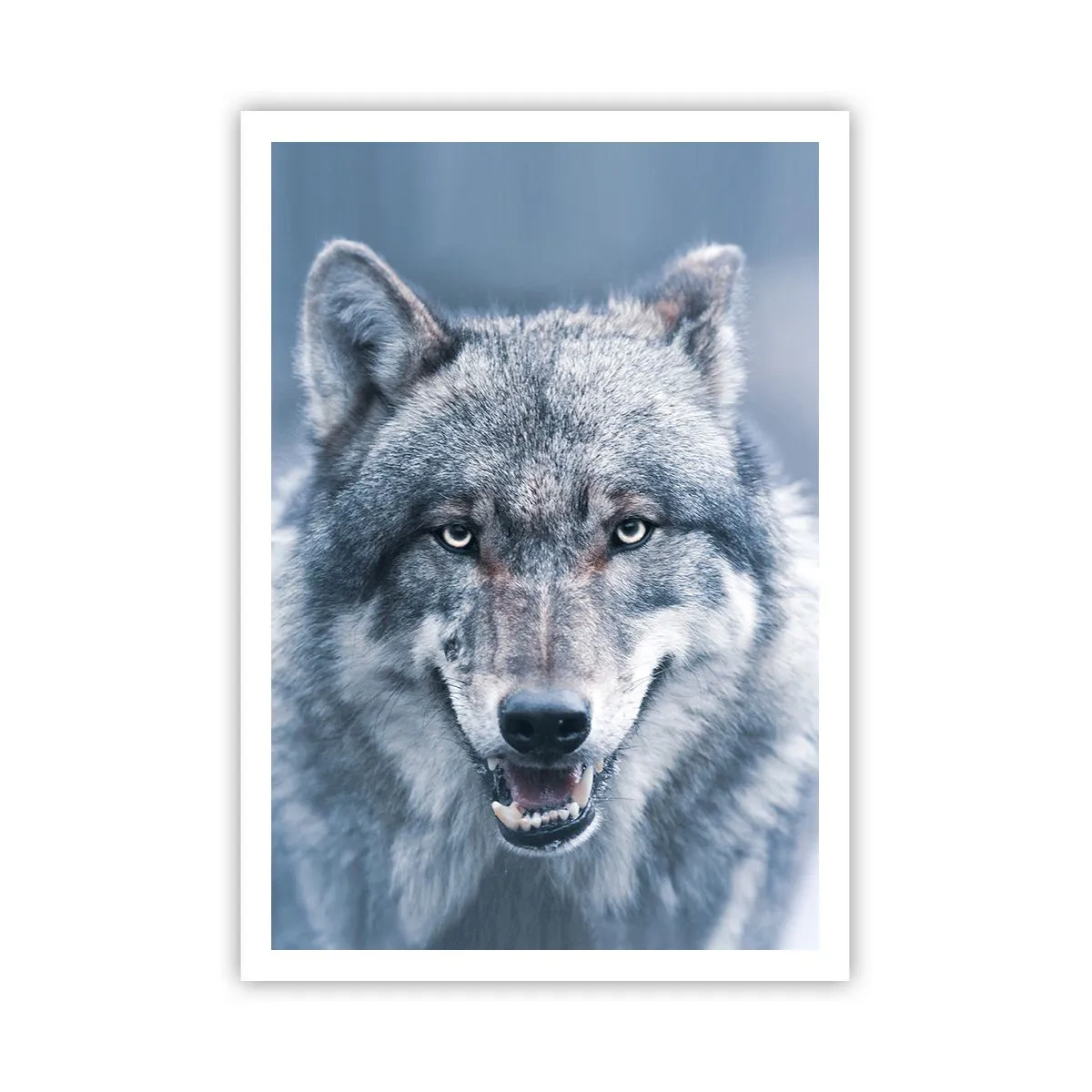 Plakat - Podejmiesz wyzwanie? - 70x100 cm