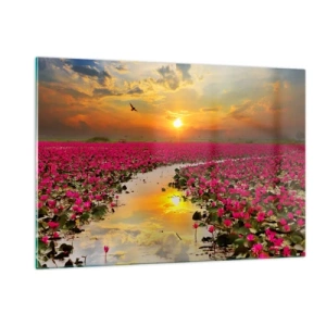 Obraz na szkle - Różowe lilie wodne na jeziorze o zachodzie słońca - 120x80cm - Tajemne życie jeziora - Nowoczesna dekoracja ścienna do salonu, kuchni i sypialni ARTTOR