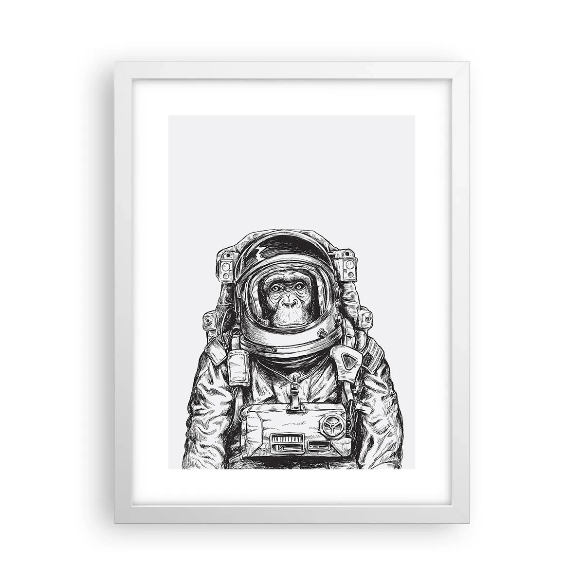 Plakat w białej ramie - Alternatywna ewolucja - 30x40 cm