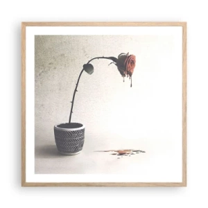 Plakat w ramie jasny dąb - Rosa dolorosa - 60x60 cm