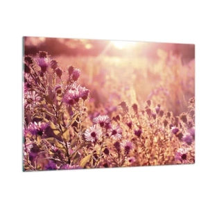 Obraz na szkle - Fioletowe kwiaty na łące w świetle zachodzącego słońca - 120x80cm - Przed odejściem lata - Nowoczesna dekoracja ścienna do salonu, kuchni i sypialni ARTTOR