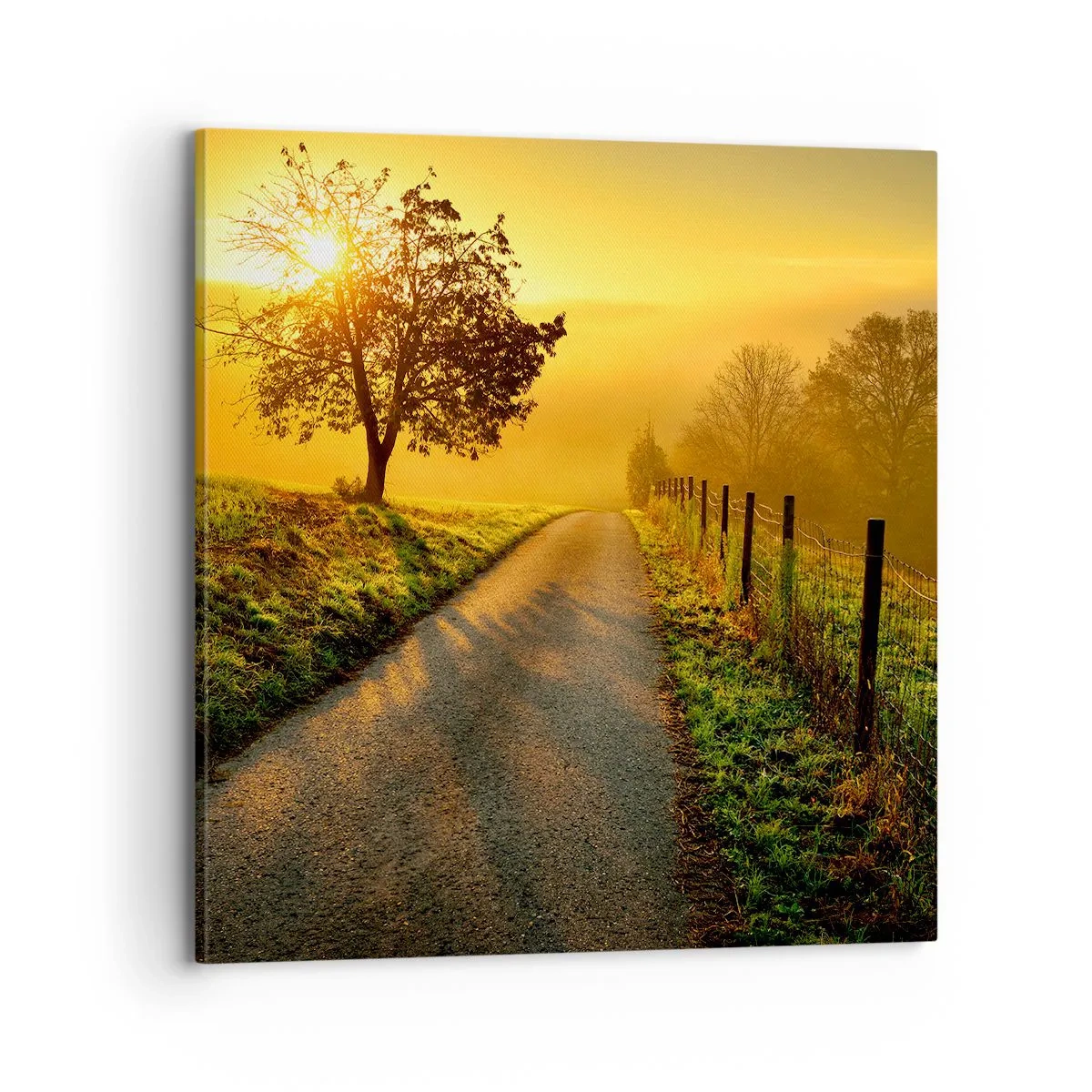 Obraz na płótnie - Miodne popołudnie - 70x70 cm