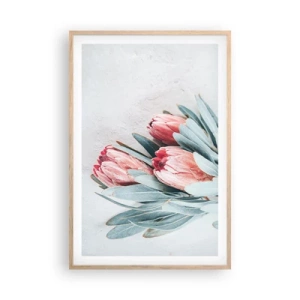 Plakat w ramie jasny dąb - Zawstydzone własną urodą - 61x91 cm