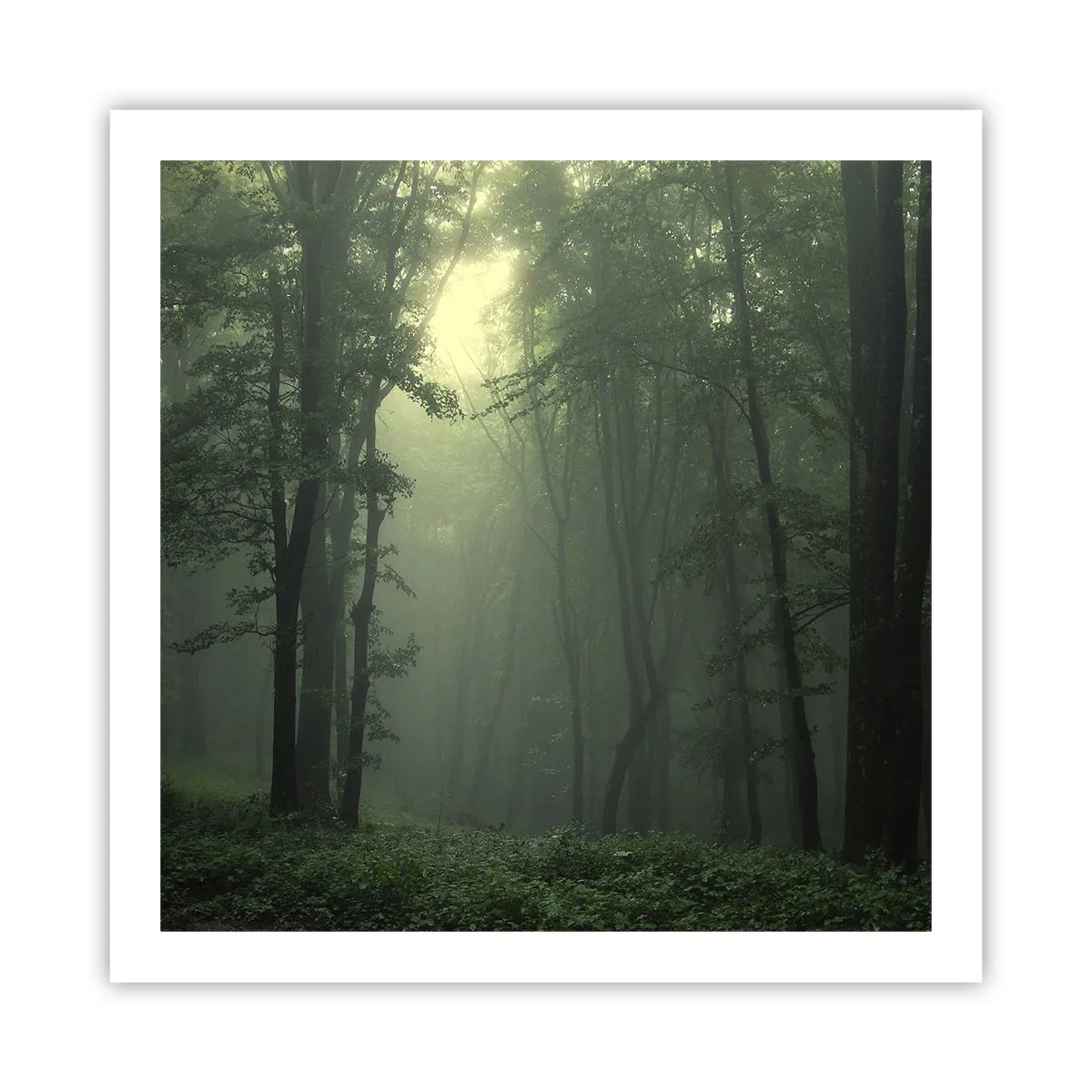 Plakat - Zanim się obudzi - 60x60 cm