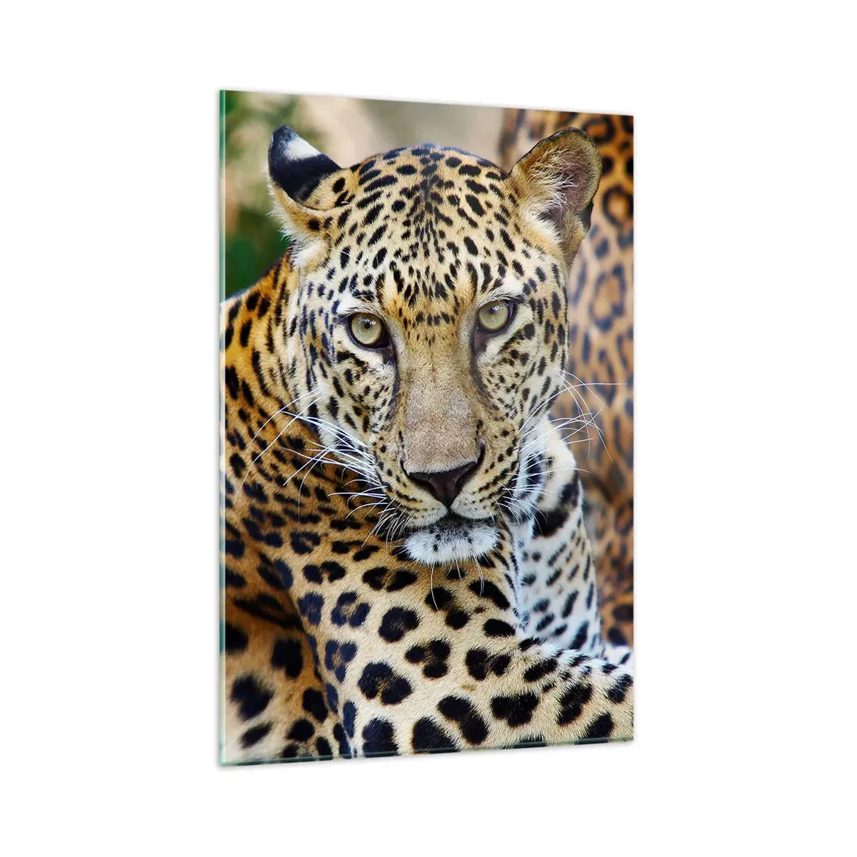 Obraz na szkle - Jaguar odpoczywający w naturalnym otoczeniu z zielonym tłem. - 80x120cm - Dziki i spokojny - Nowoczesna dekoracja ścienna do salonu i sypialni ARTTOR