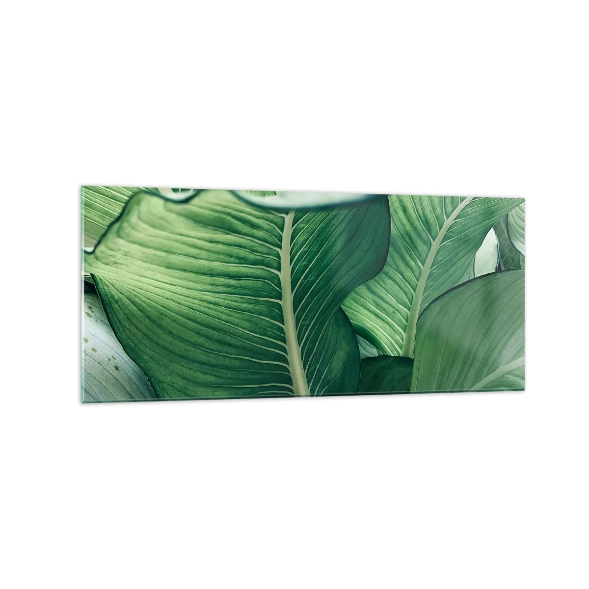 Obraz na szkle - Zielone liście z wyrazistymi detalami i strukturą - 120x50cm - Życie intensywnie zielone - Nowoczesna dekoracja ścienna do salonu i sypialni ARTTOR