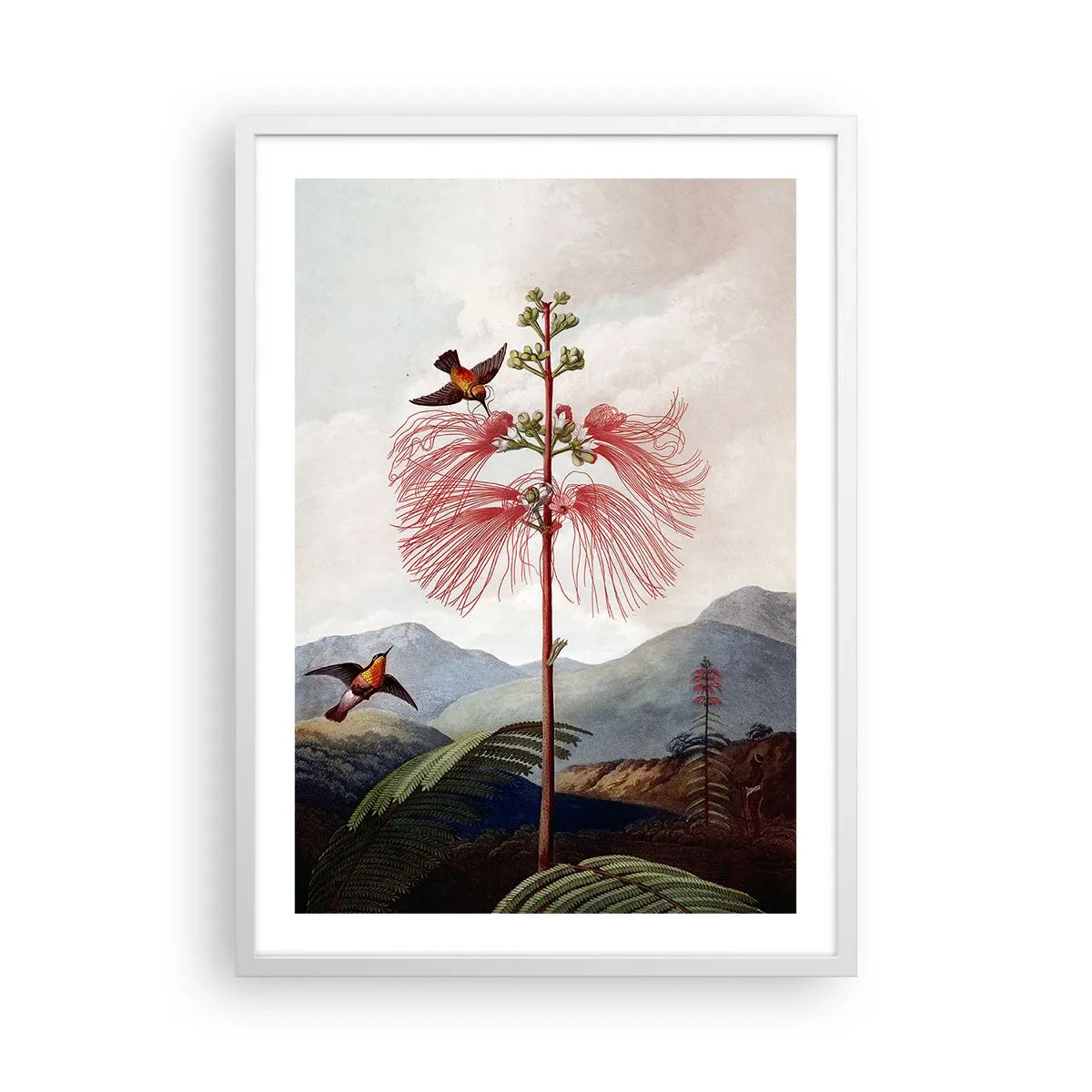 Plakat w białej ramie - W tropikalnym raju - 50x70 cm