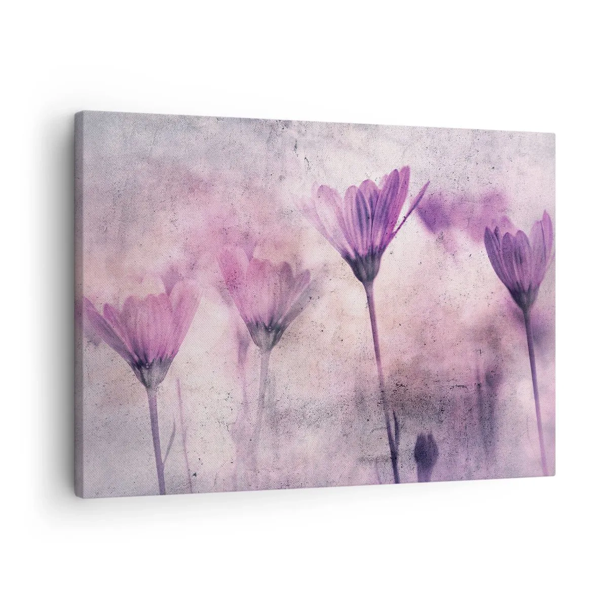 Obraz na płótnie - Delikatne kwiaty w odcieniach fioletu na jasnym tle - 70x50cm - Sen kwiatów - Nowoczesna dekoracja ścienna do salonu i sypialni ARTTOR