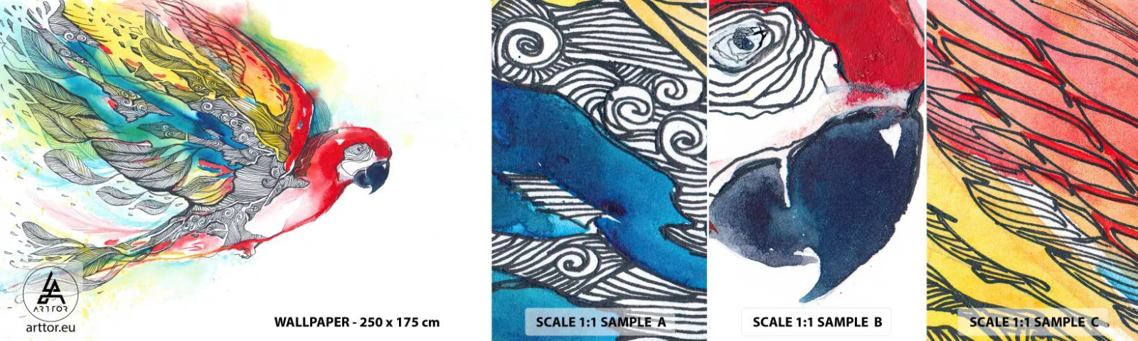 Fototapeta Próbka Samoprzylepna Deluxe Sticker - Żyj kolorowo - Ptak, Papuga, Kolorowe Pióra - 100x30 cm