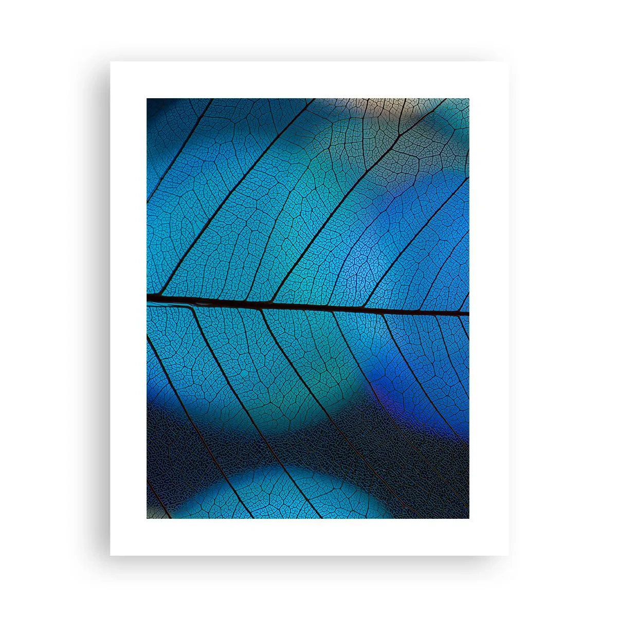 Plakat - Misterna budowa - 40x50 cm