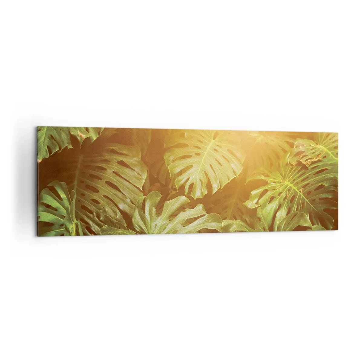 Obraz na płótnie - Liście monstery w świetle słońca na tle naturalnym - 160x50cm - W zieloność wstąpić… - Nowoczesna dekoracja ścienna do salonu i sypialni ARTTOR
