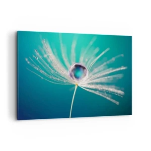 Obraz na płótnie - Makro kropla wody na delikatnym nasionku dmuchawca - 120x80cm - Mistyczna chwila - Nowoczesna dekoracja ścienna do salonu, kuchni i sypialni ARTTOR
