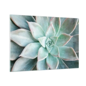 Obraz na szkle - Suche liście sukulenta o delikatnym, szaro-zielonym odcieniu - 100x70cm - Serce pustyni - Nowoczesna dekoracja ścienna do salonu, kuchni i sypialni ARTTOR
