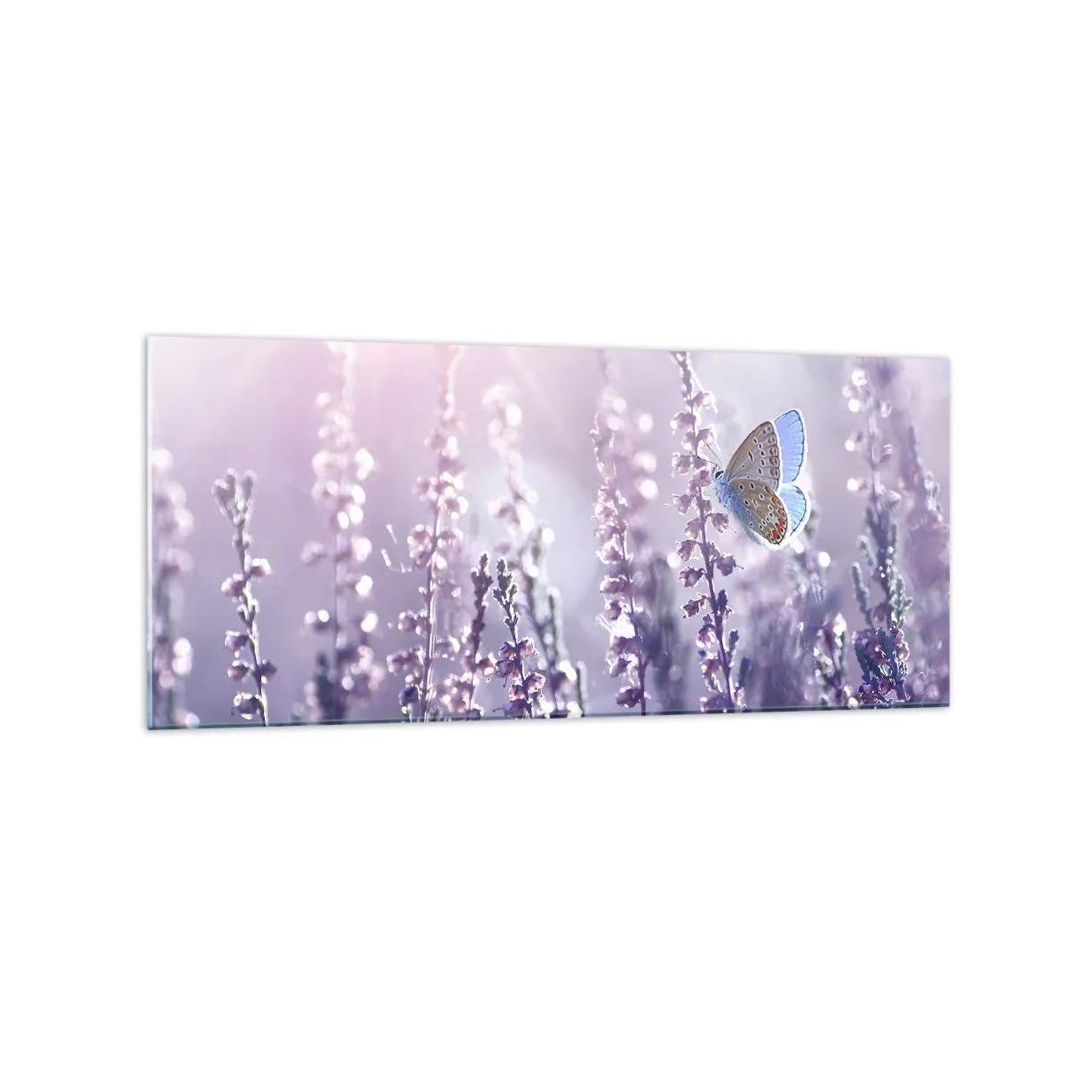 Obraz na szkle - Motyl na kwitnącej lawendzie w świetle poranka - 120x50cm - Pocałunek motyla - Nowoczesna dekoracja ścienna do salonu i sypialni ARTTOR