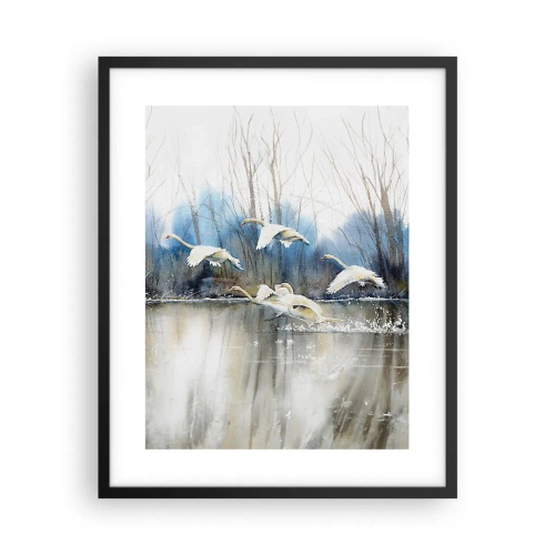 Plakat w czarnej ramie - Jak w baśni o dzikich łabędziach - 40x50 cm