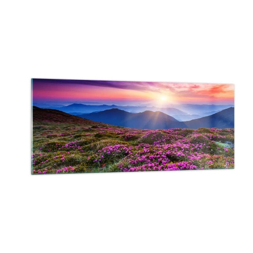 Obraz na szkle - Ziół zapachniały świeże pęki od niw - 100x40 cm