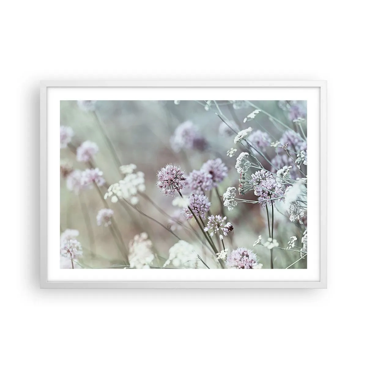 Plakat w białej ramie - Słodkie filigrany ziół - 70x50 cm