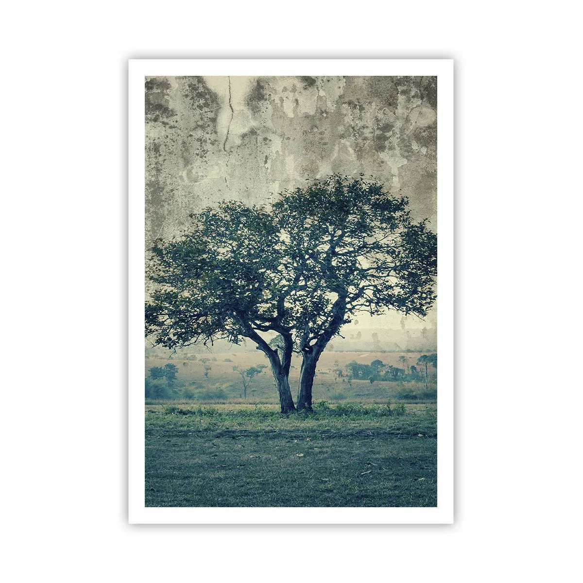 Plakat - Jabłoń na błękitnym błoniu? - 70x100 cm