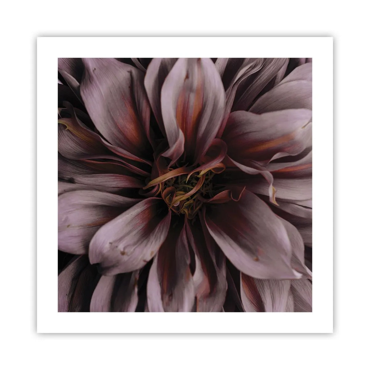 Plakat - Kwietne serce - 50x50 cm