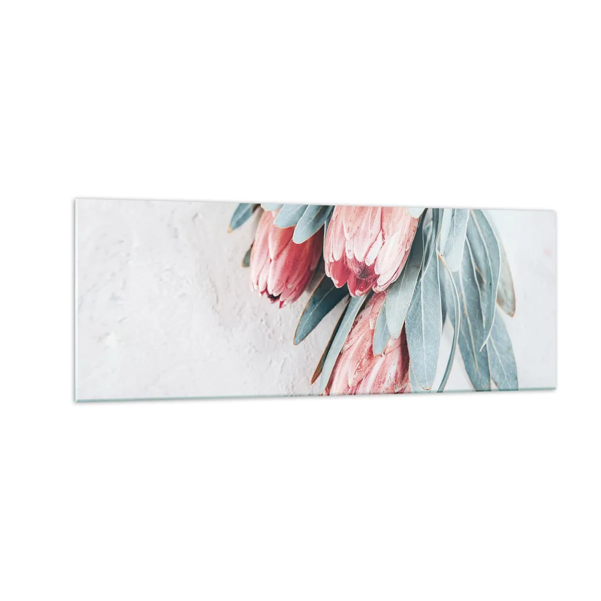 Obraz na szkle - Subtelne różowe kwiaty protei na jasnym tle - 140x50cm - Zawstydzone własną urodą - Nowoczesna dekoracja ścienna do salonu i sypialni ARTTOR